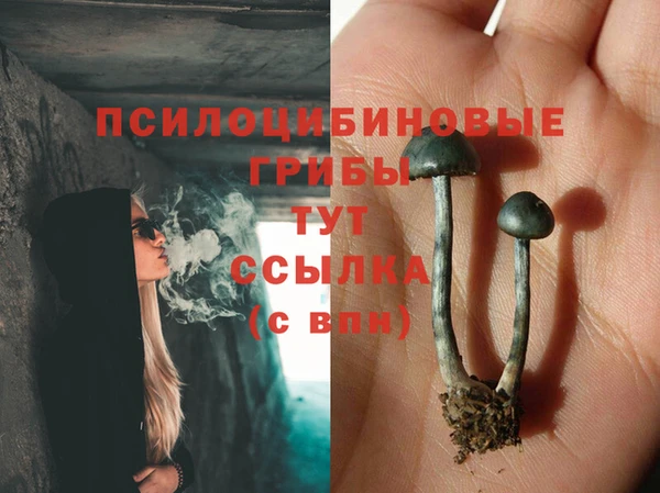 хмурый Липки