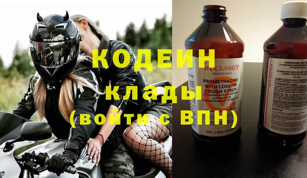 хмурый Липки