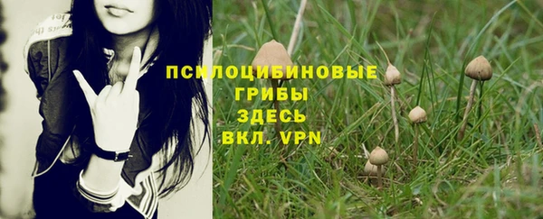 соль ск Лихославль