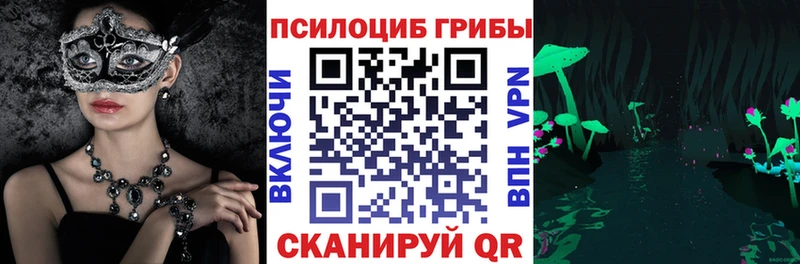 Галлюциногенные грибы MAGIC MUSHROOMS  Купить закладки  Приморск 